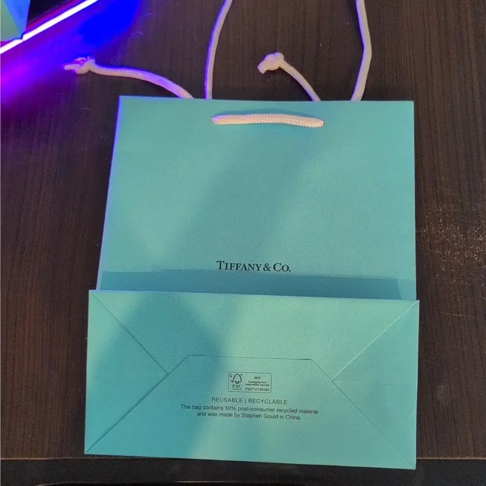 Tiffany & Co. Tiffany Blue Small Paper Gift Bag w/ White Rope Handles